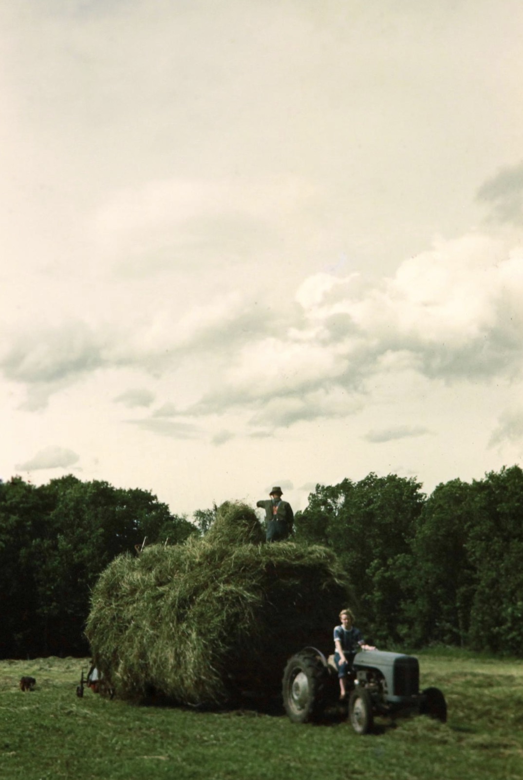My grandma and her dad baling hay on the family farm in Clintonville, WI. 1940s 